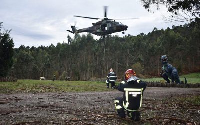 Bedeutender Fossilfund in Asturien erfolgreich geborgen