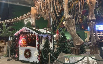 2025 – ein großes GONDWANA-Jahr