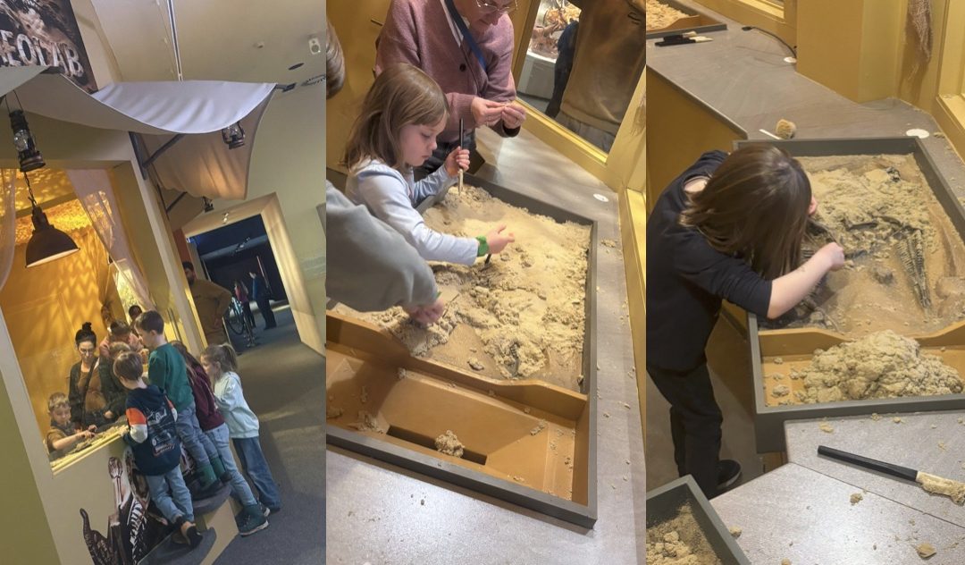 Kinder werden zu kleinen Dinoforschern